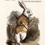 21 Lektionen Gigi bitcoin: Niederländischsprachiges Buch kaufen